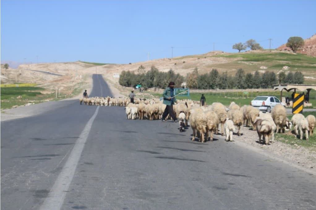 خدمات‌رسانی به عشایر میهمان در مراتع قشلاقی سمنان