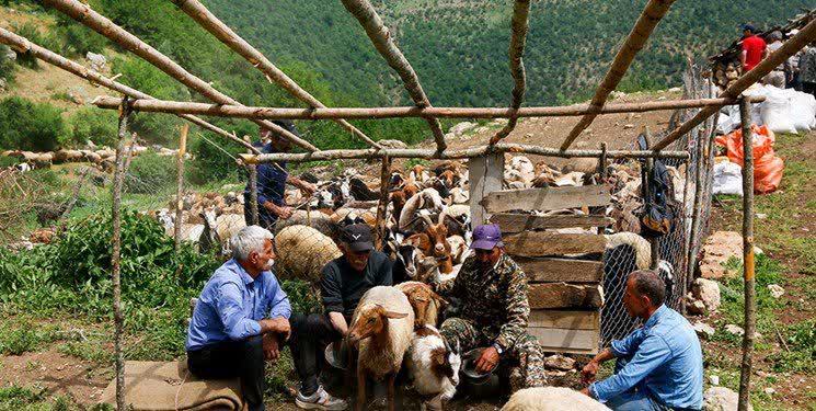 تسهیلات ۳۰ میلیارد تومانی برای عشایر کرمانشاه؛ ثبت‌نام متقاضیان آغاز شد