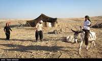 جمعیت عشایری کرمانشاه ۱۴ هزار خانوار است