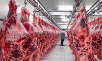  قیمت گوشت در بهار سال آینده به زیر ۵۰۰هزار تومان می‌رسد
