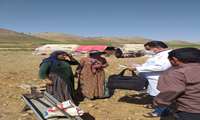 اعزام اکیپ های پنج نفره غربالگری به مناطق عشایری فارس