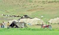 ورود دام عشایر به مراتع کرمانشاه تا 15 آبان‌ ممنوع است