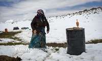 گزارشی تصویری بارش برف در بهار در ییلاقات اهر