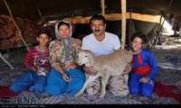 عشایر سه استان برای زمستان‌گذرانی وارد گلستان شدند