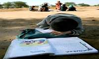 ترک تحصیل دانش آموزان عشایر خراسان جنوبی به صفر رسید