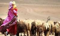  عشایر خراسان جنوبی به مناطقی که علوفه بیشتری دارد کوچ می‌کنند
