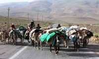 آماده سازي 1800 کیلومتر از راه ‌های عشایری خراسان جنوبی  براي كوچ بهاره