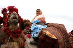 هفتمین جشنواره ملی کوچ عشایر شاهسون در بیله ‌سوار