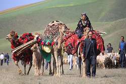  جشنواره بین‌المللی کوچ عشایر شاهسون در استان اردبیل برگزار می‌شود